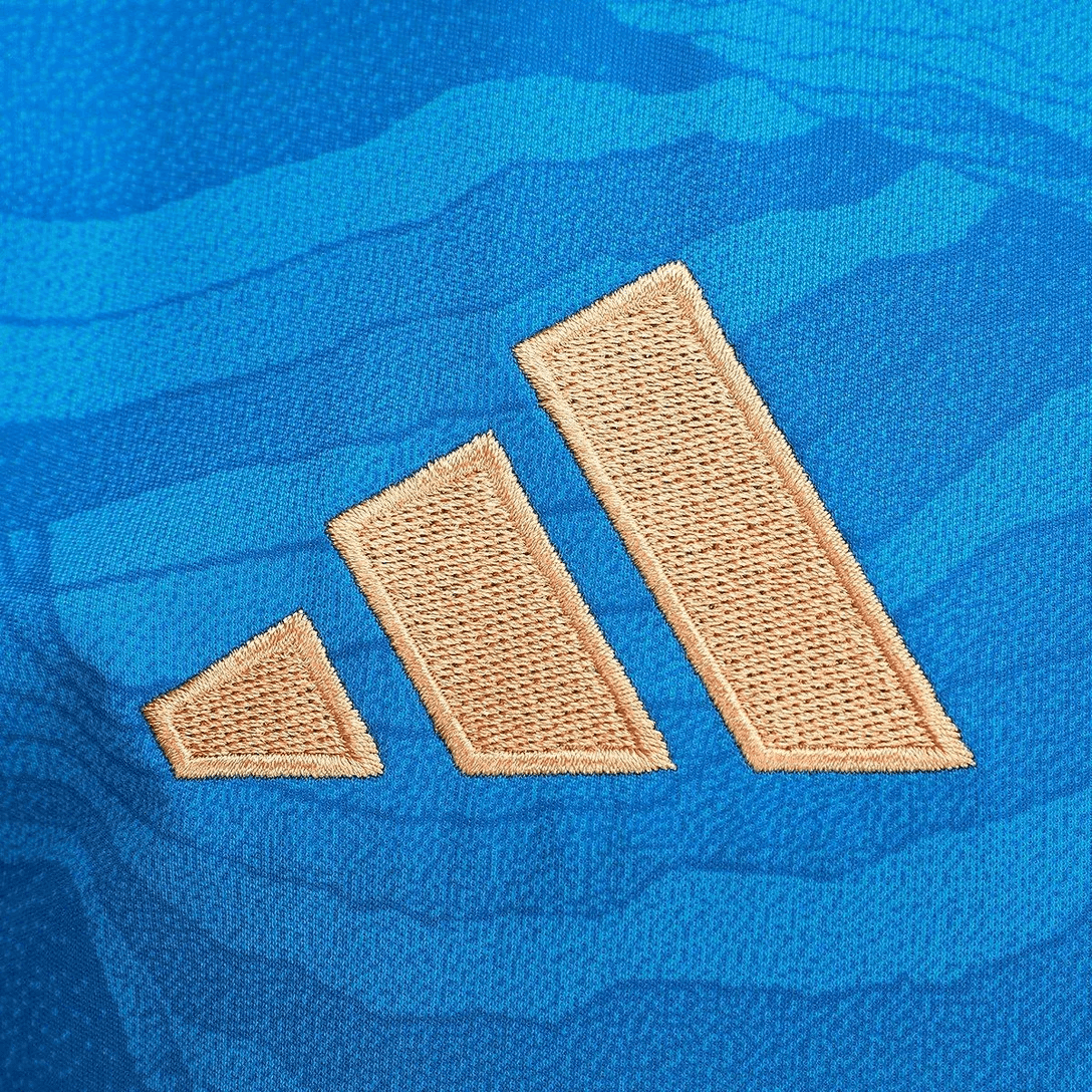 Cruzeiro Goleiro 2025 - 4